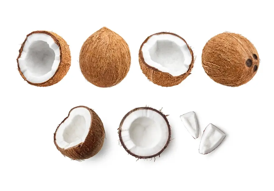 coconut ingredient in Elio products