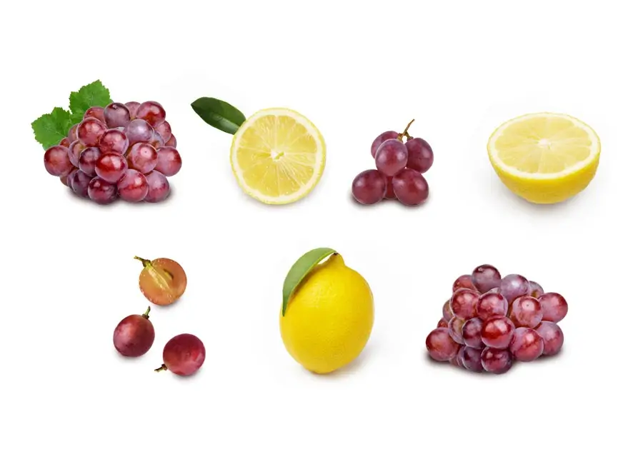 lemon & grape ingredient in Elio products