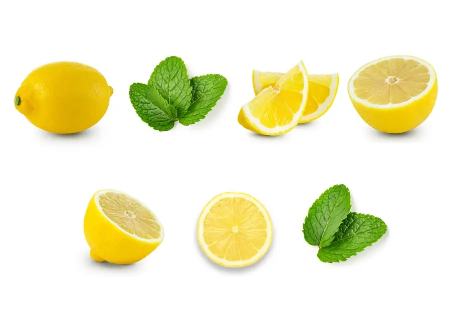 lemon & mint ingredient in Elio products