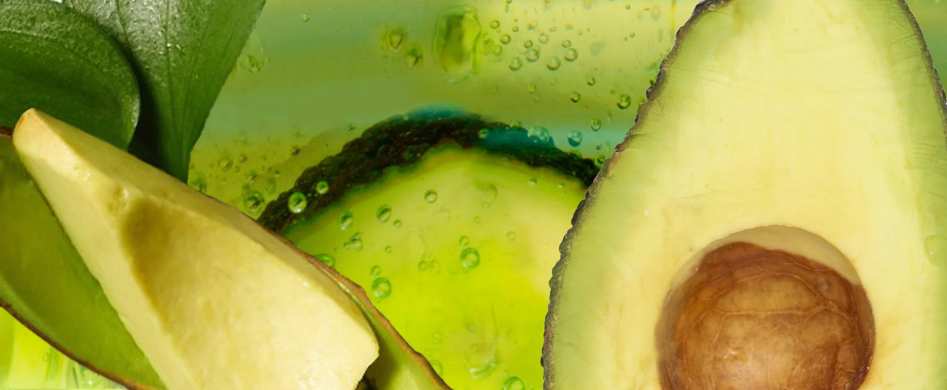 everything about avocado properties