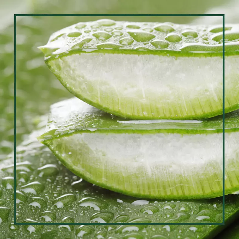 about Elio aloe vera ingredient