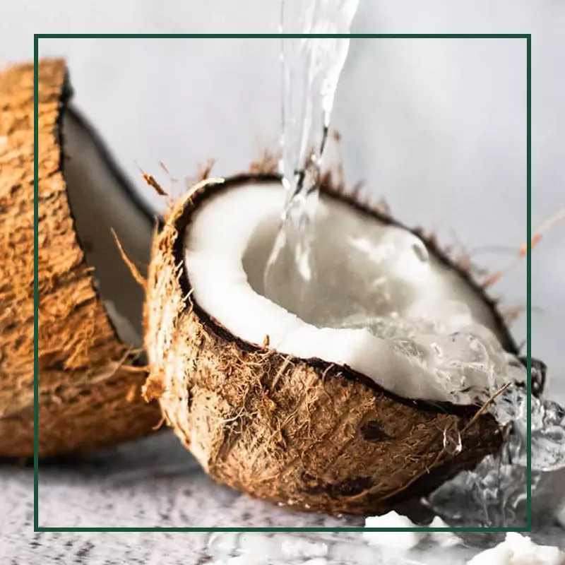 about Elio coconut ingredient