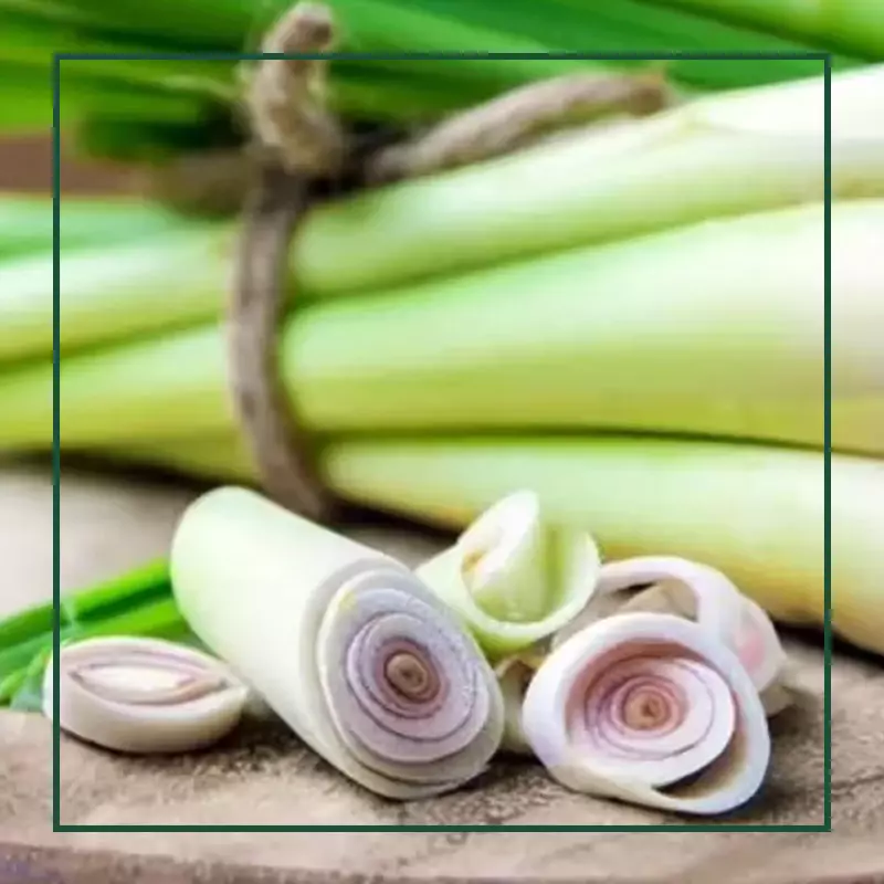 about Elio lemongrass ingredient