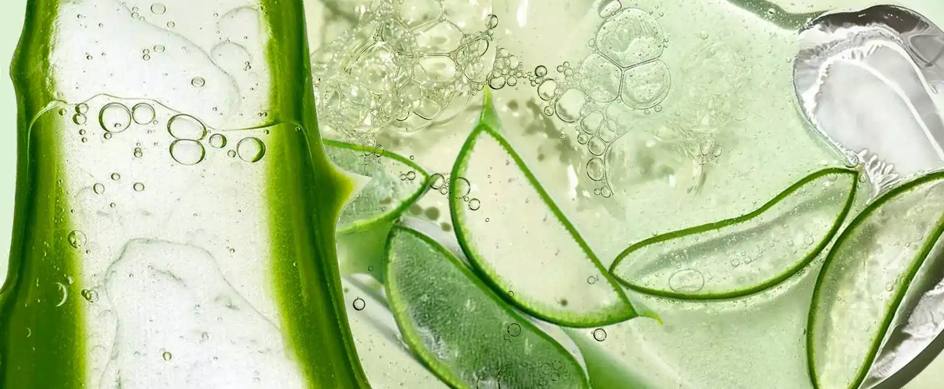 everything about aloe vera properties