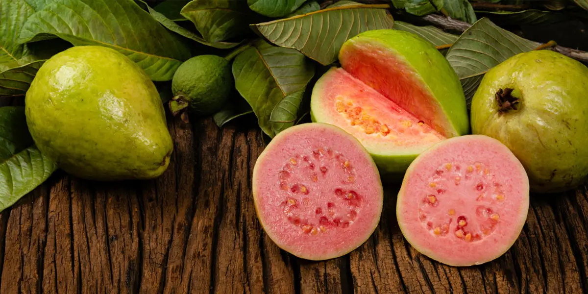 گواوا برای رشد و سلامت مو